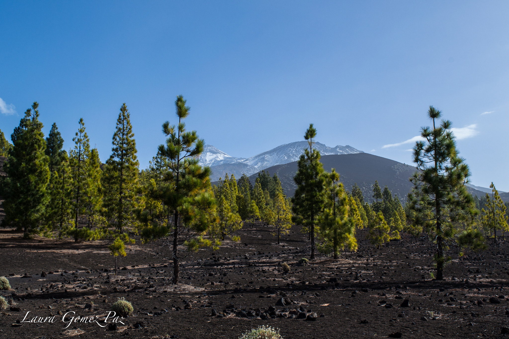 Nikon D3100 sample photo. The colors of tenerife's nature photography