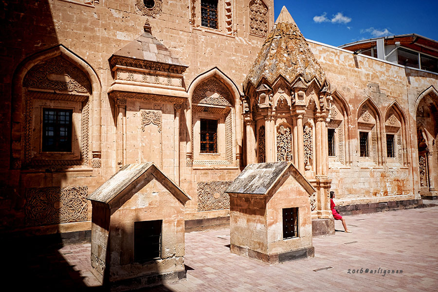 Fujifilm XC 16-50mm F3.5-5.6 OIS sample photo. Tek ihtiyacım neydi biliyor musun? bir papatya yaprağı daha photography