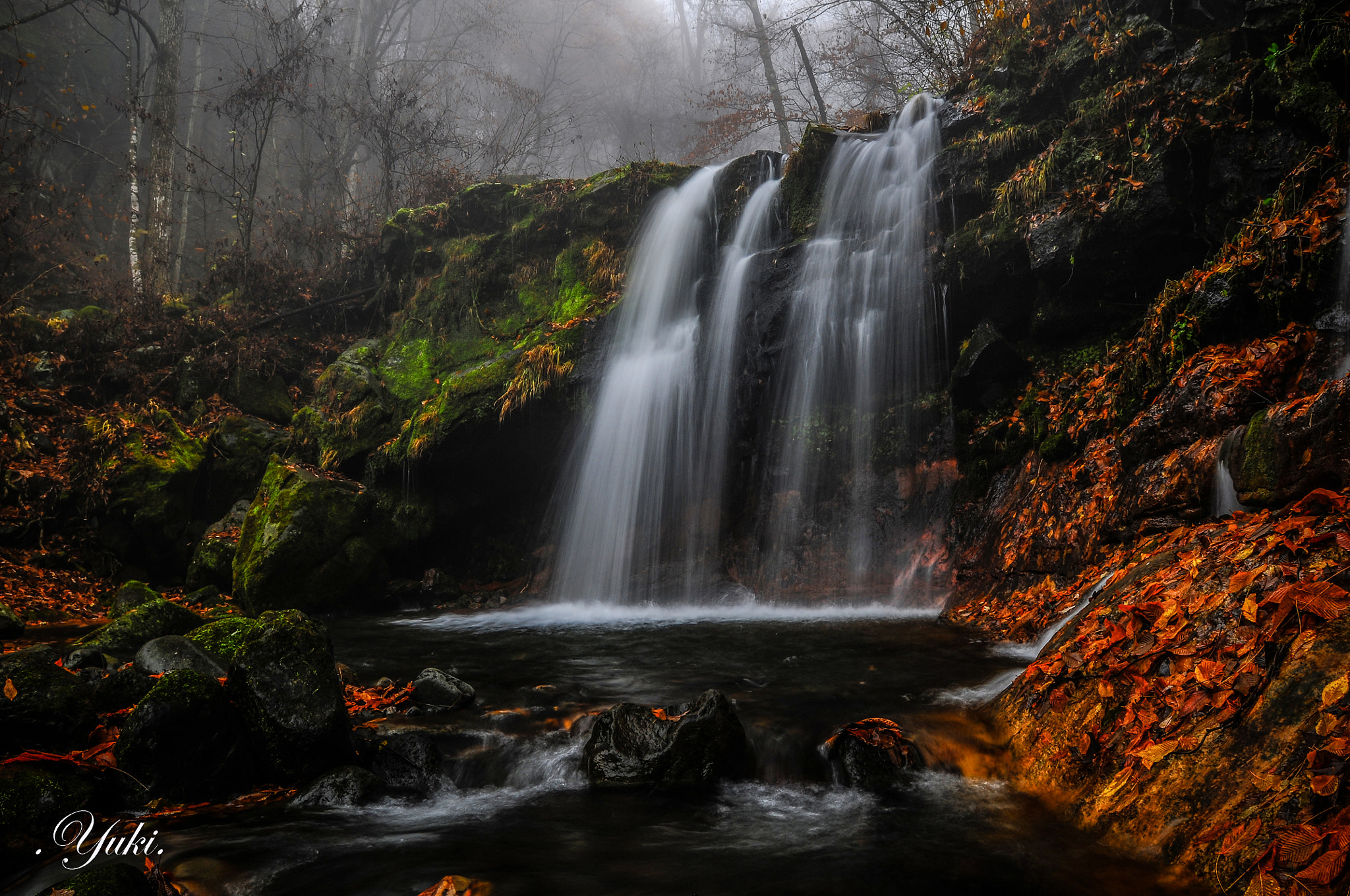 Nikon D300 + Nikon AF-S Nikkor 17-35mm F2.8D ED-IF sample photo. 水無川 晩秋Ⅵ photography