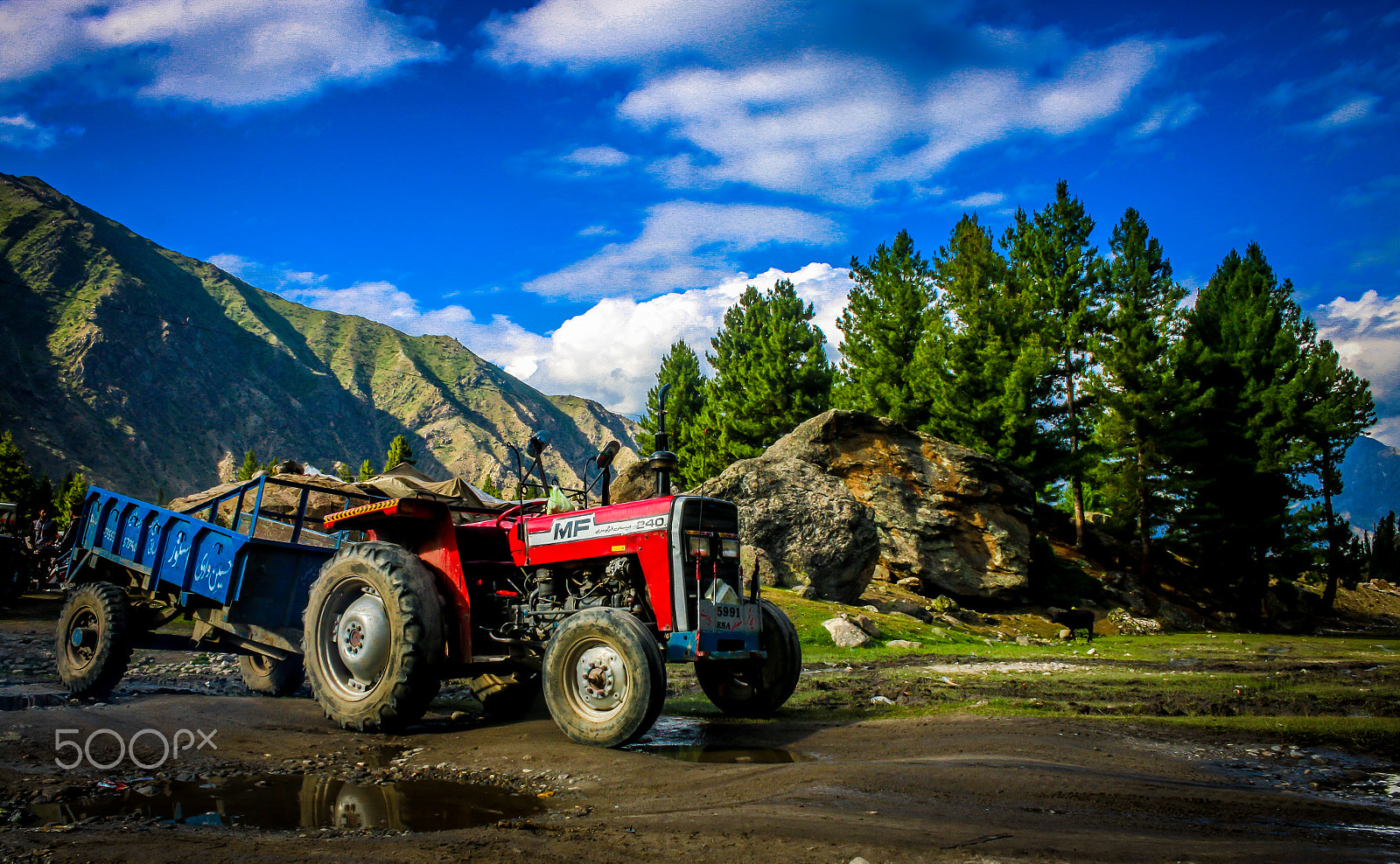 Canon EF-S 18-55mm F3.5-5.6 III sample photo. The perfect composition photography