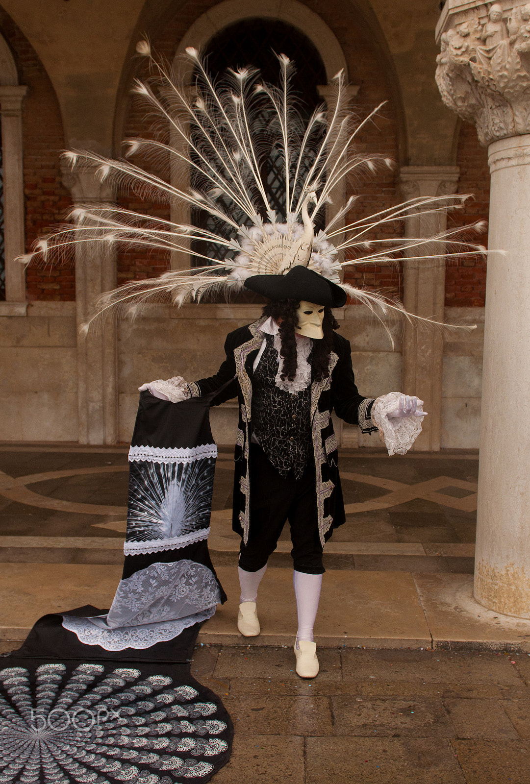 Nikon AF-S Nikkor 24-70mm F2.8G ED sample photo. Venice carnival white peacock photography