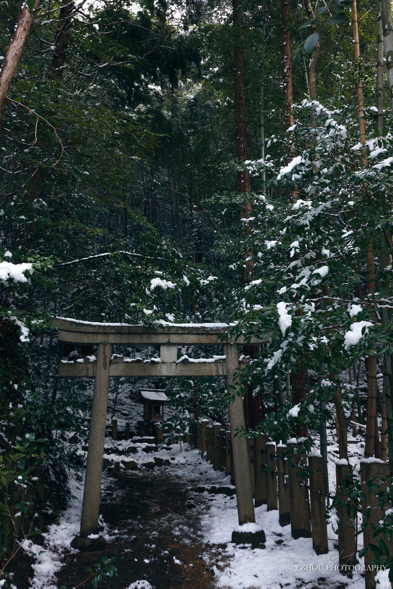 Canon EOS 40D sample photo. In the snow photography