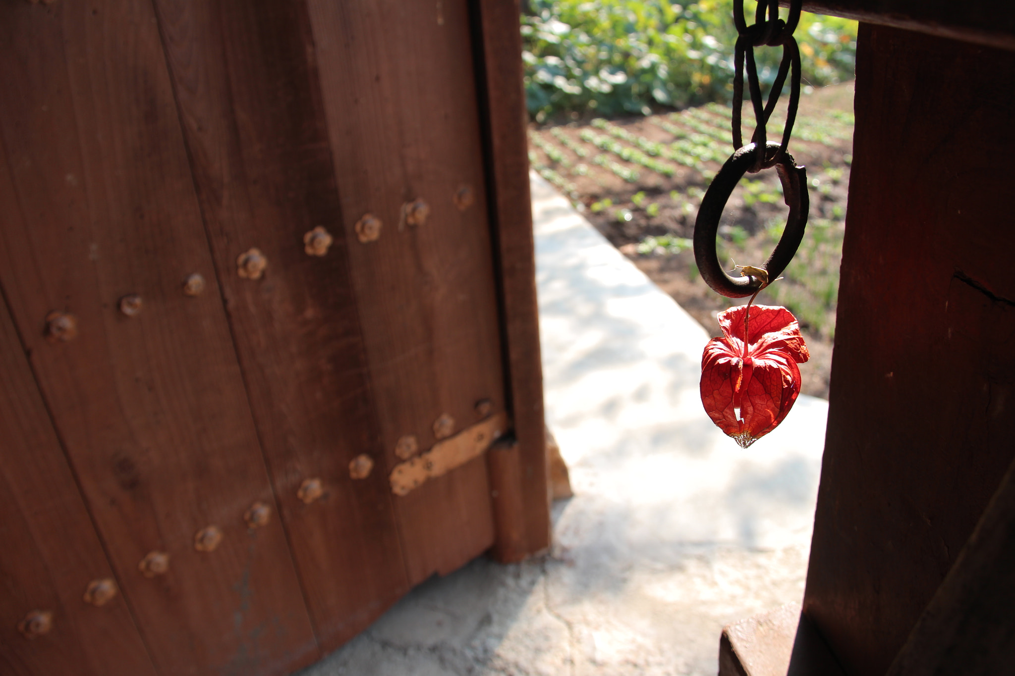 Canon EF-S 18-200mm F3.5-5.6 IS sample photo. 정겨운  고향````` photography