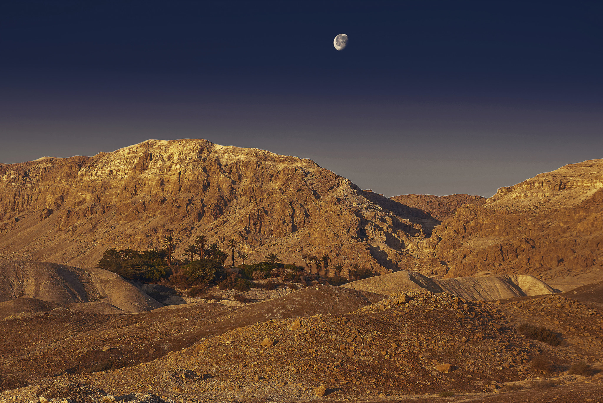 Nikon D700 sample photo. Moonlight on a judean desert photography