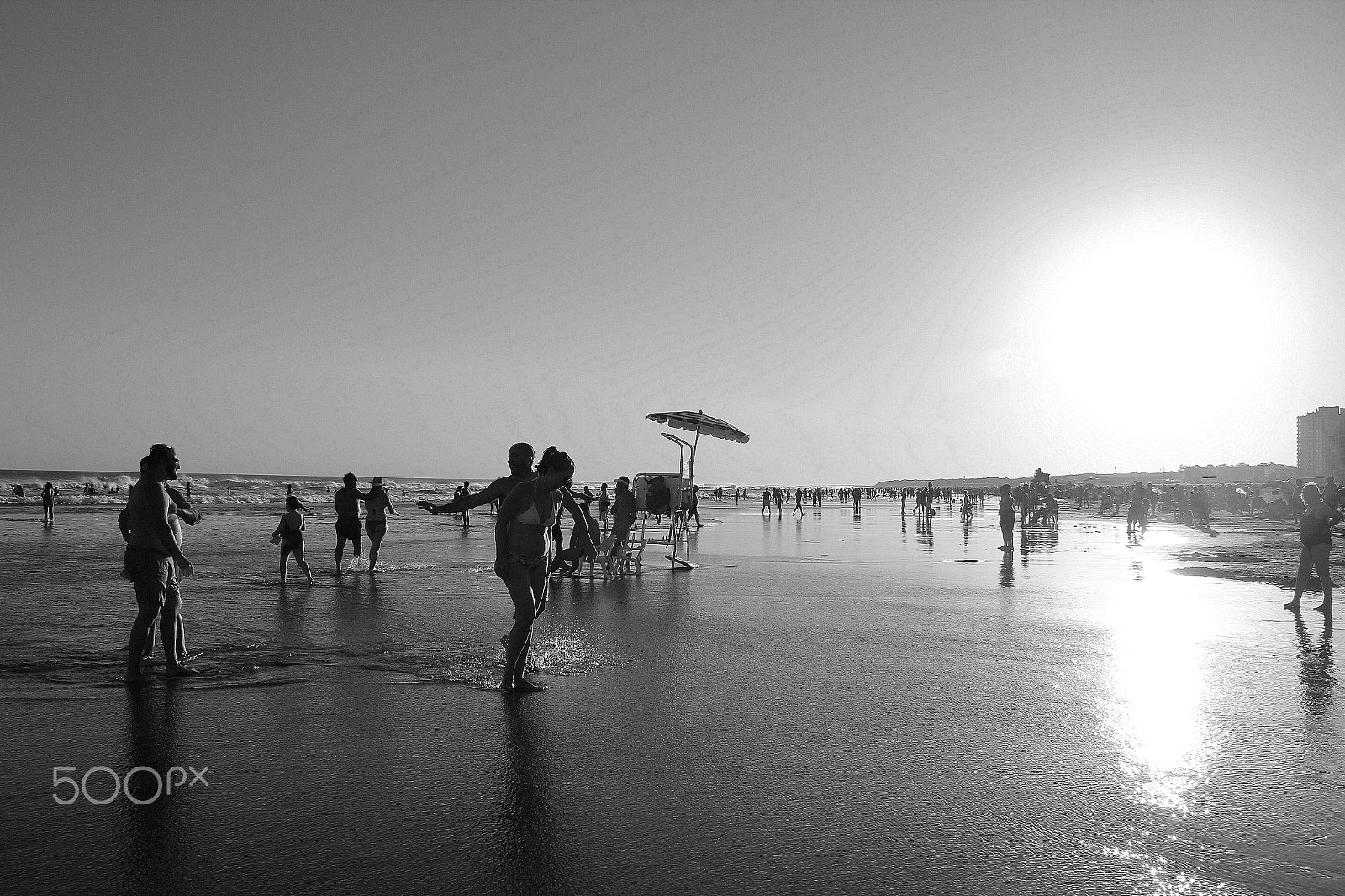 Canon EOS 550D (EOS Rebel T2i / EOS Kiss X4) sample photo. Sunset (b&w) photography