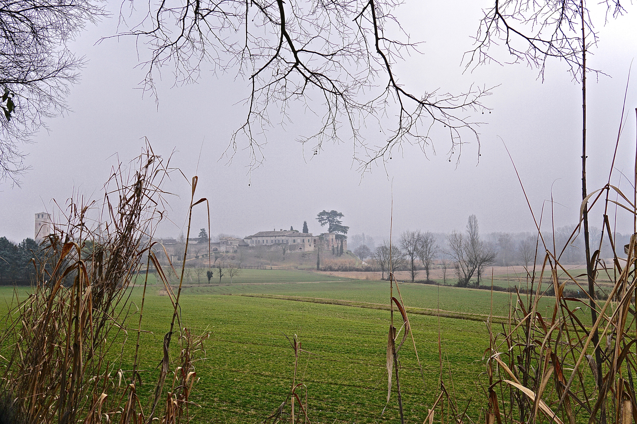 Sony a6300 + Sigma 19mm F2.8 EX DN sample photo. Castellaro lagusello photography