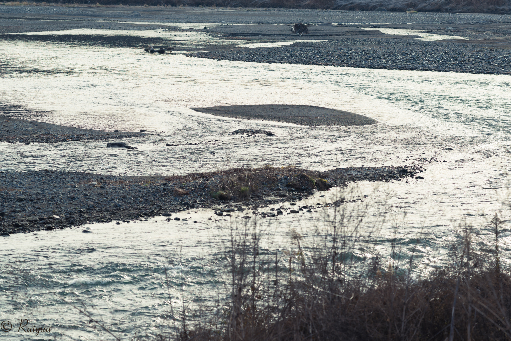 Nikon D800E + ZEISS Apo Sonnar T* 135mm F2 sample photo. Dsc_4511 photography