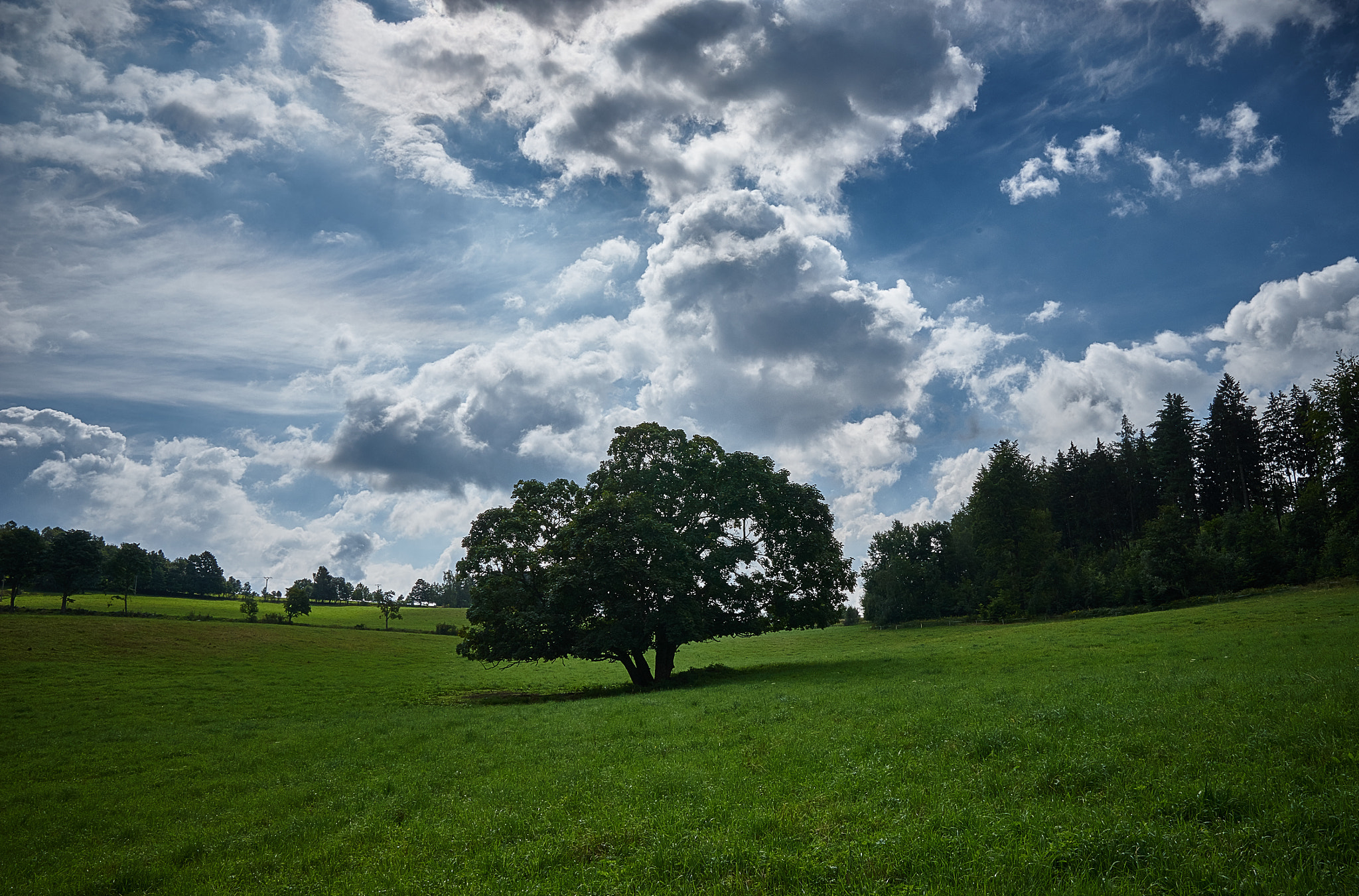 Sony FE 24-70mm F2.8 GM sample photo. Jeseníky photography