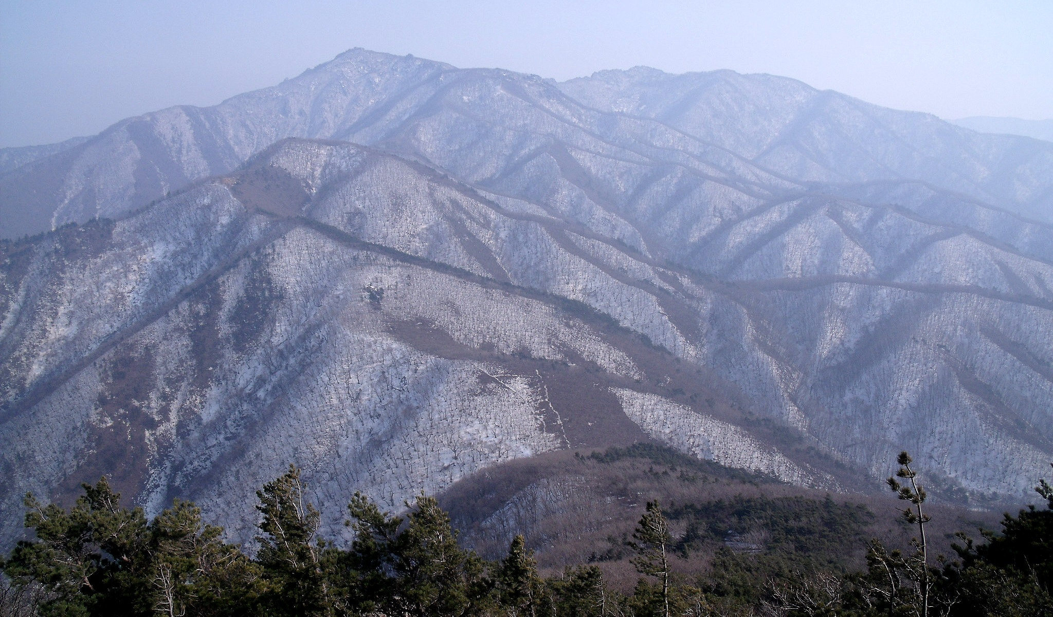 Fujifilm FinePix J110W sample photo. Early spring photography