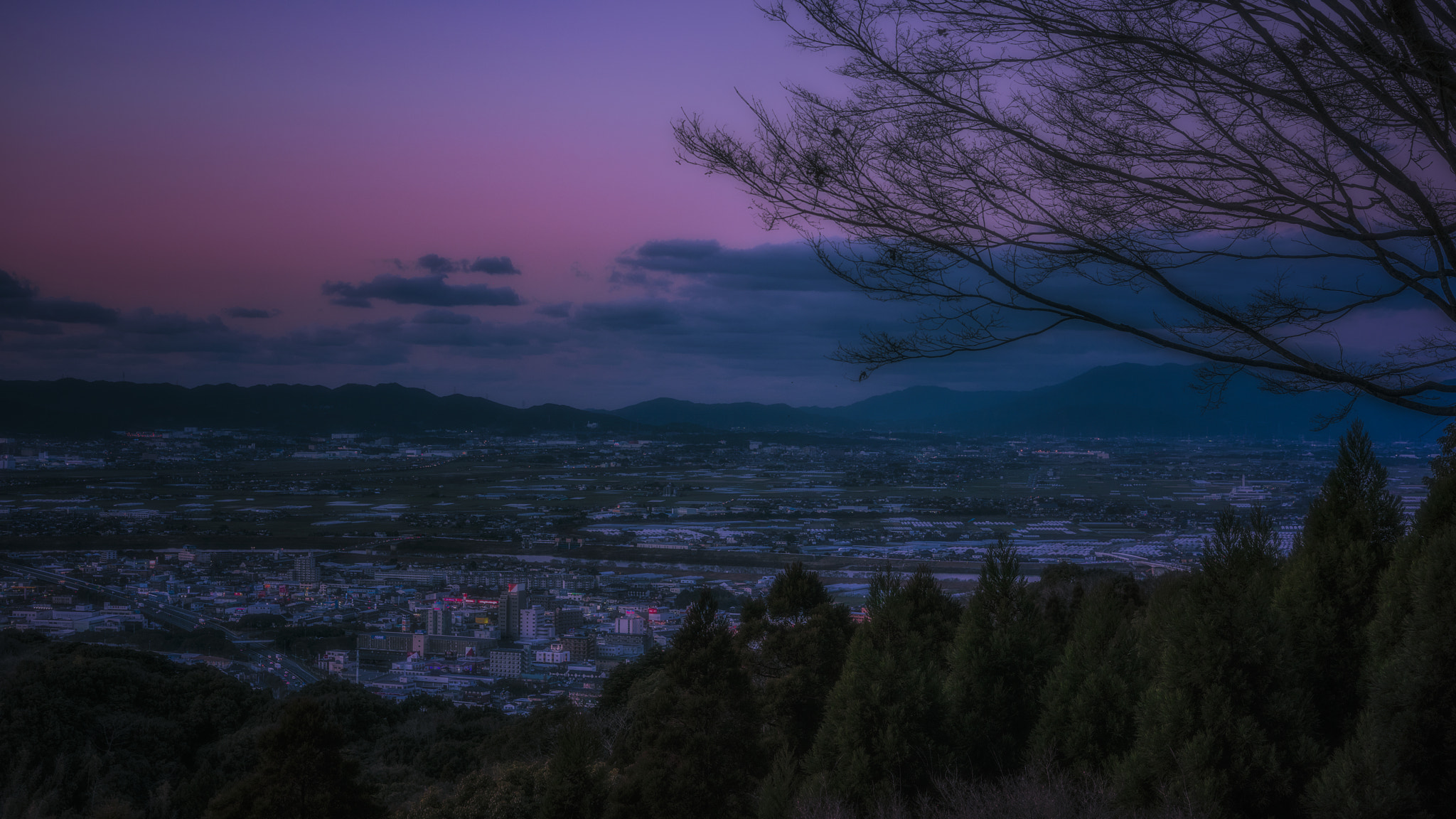 Nikon D810 sample photo. Purple sky photography