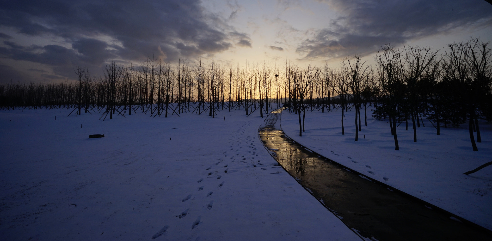 Sony a7 II + Sony Vario-Tessar T* FE 16-35mm F4 ZA OSS sample photo. 映霞 photography