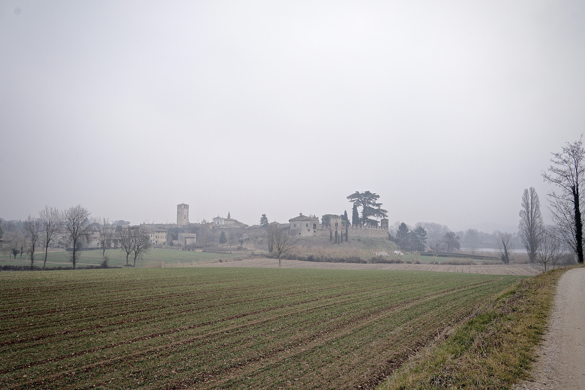 Sony a6300 + Sigma 19mm F2.8 EX DN sample photo. Castellaro lagusello ii photography