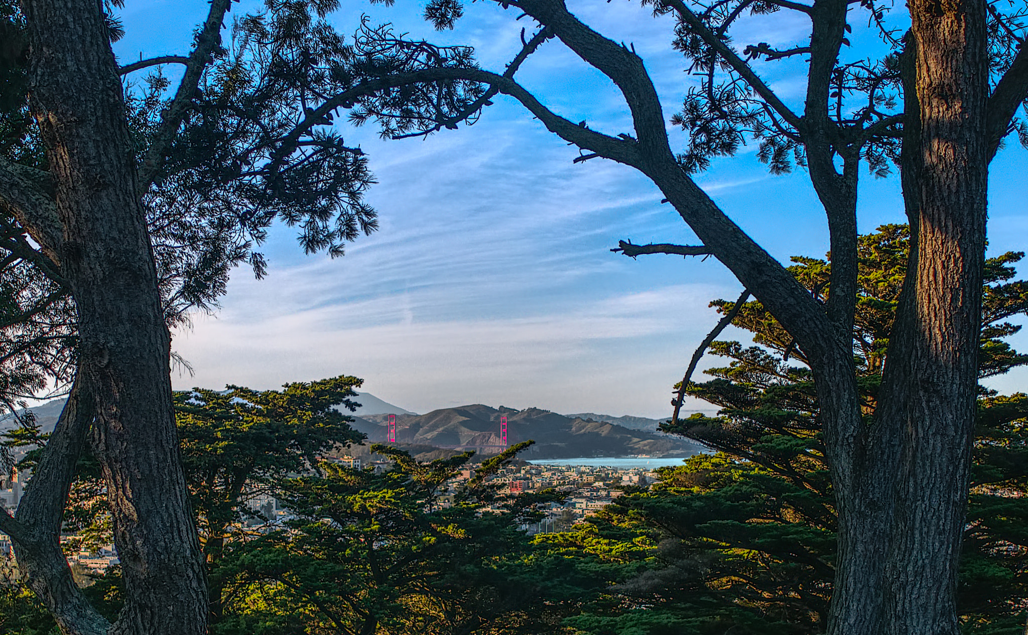 Panasonic Lumix DMC-GX85 (Lumix DMC-GX80 / Lumix DMC-GX7 Mark II) + Panasonic Leica DG Summilux 15mm F1.7 ASPH sample photo. Gorgeous san francisco photography