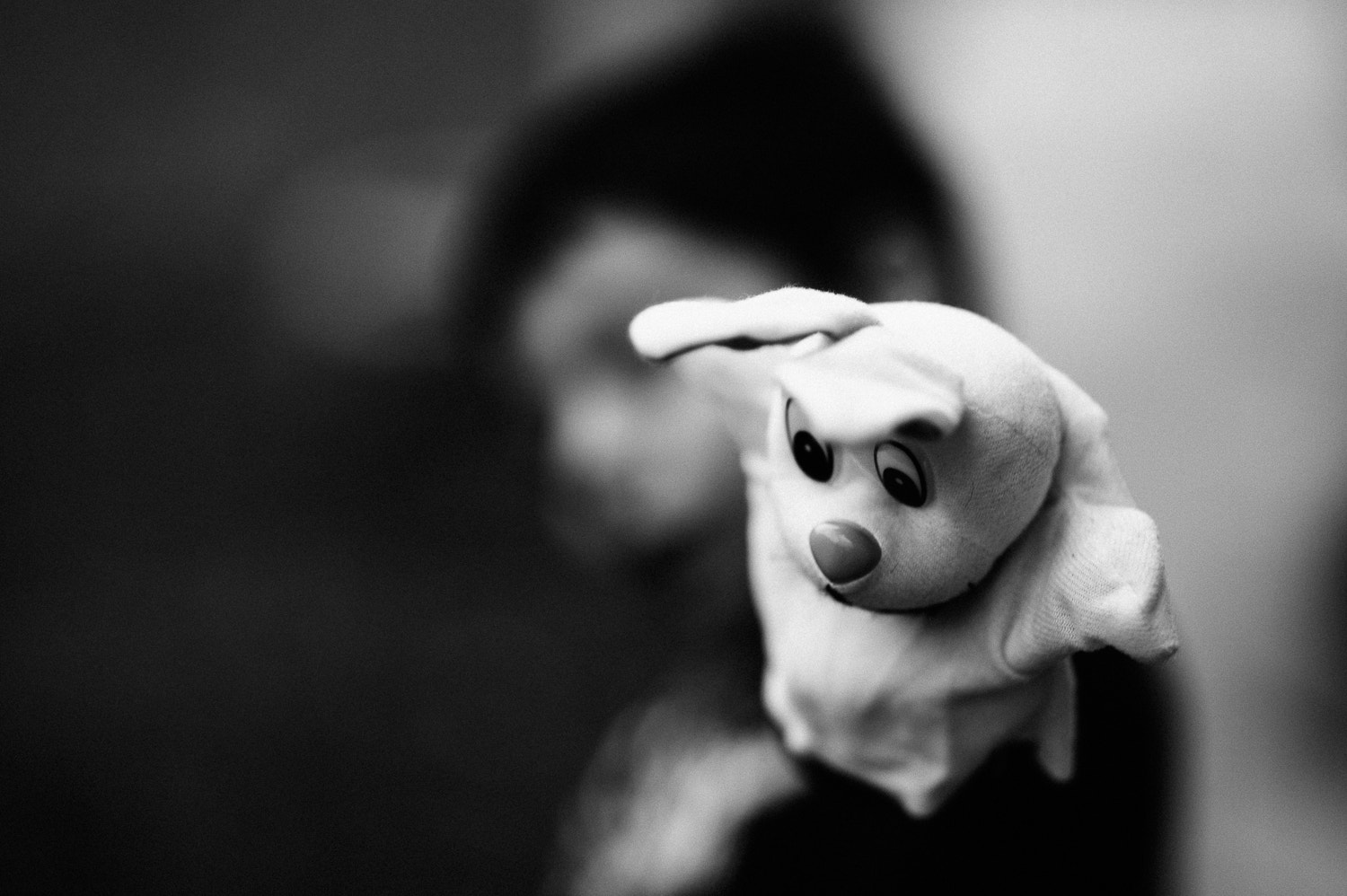 Sigma 85mm F1.4 EX DG HSM sample photo. Dfk photography