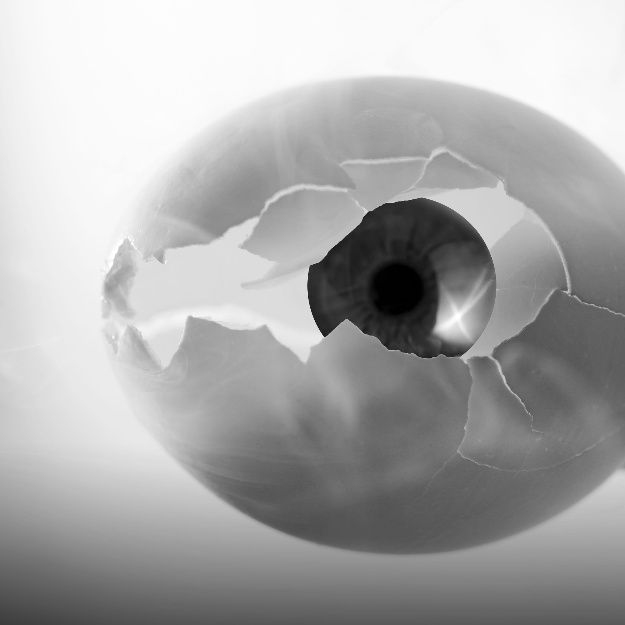 Nikon AF-S Micro-Nikkor 60mm F2.8G ED sample photo. Allegory of sight photography