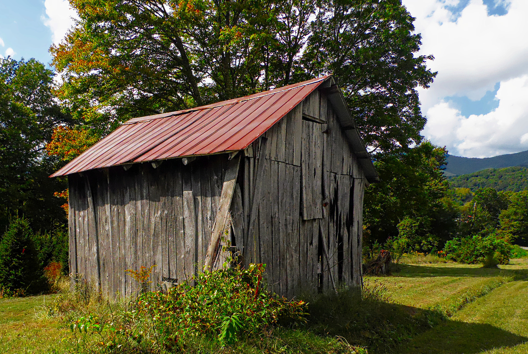 Samsung WB100/  WB101 sample photo. Red roof photography