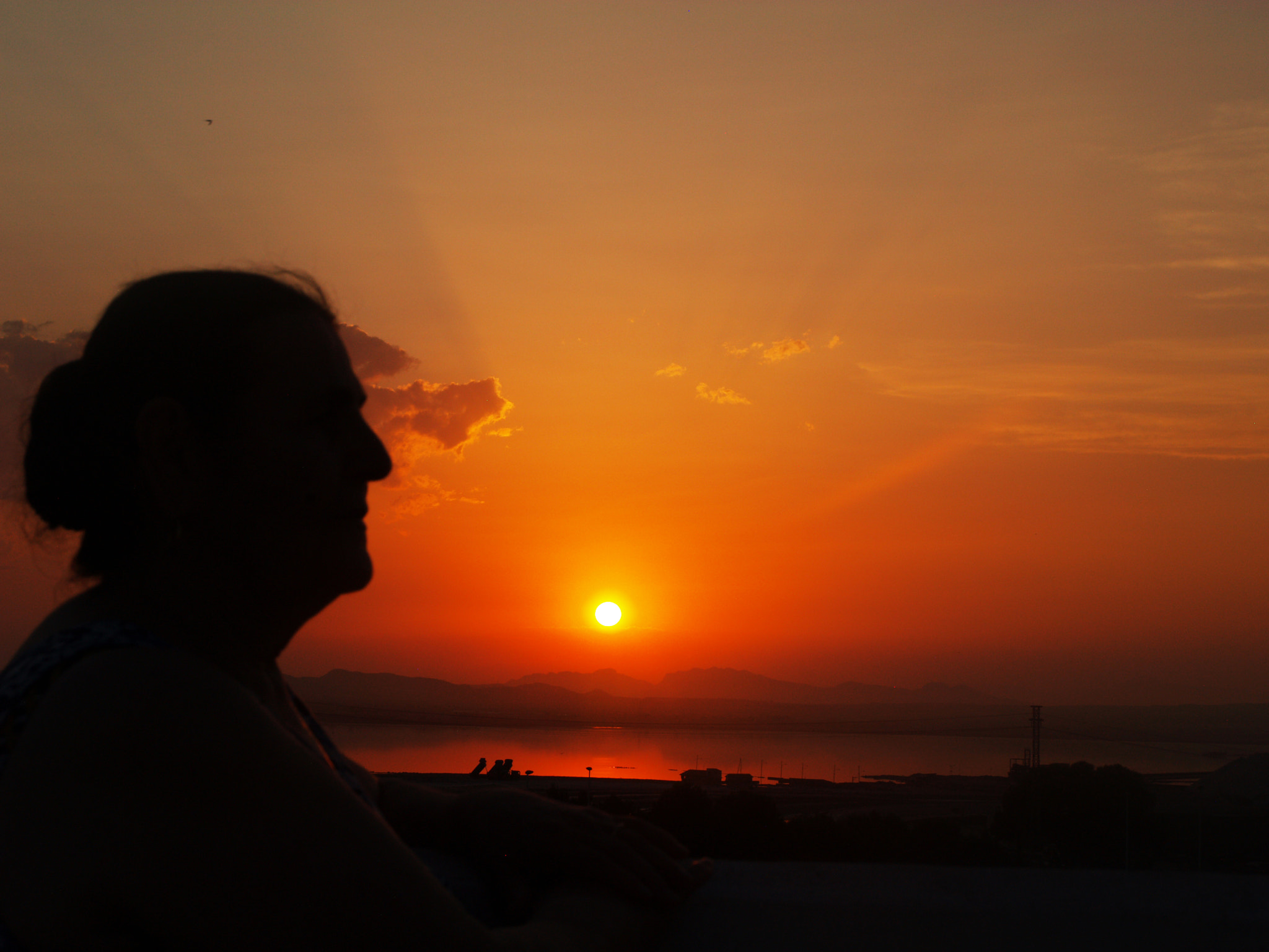 Olympus E-400 (EVOLT E-400) sample photo. Summer sunset. photography