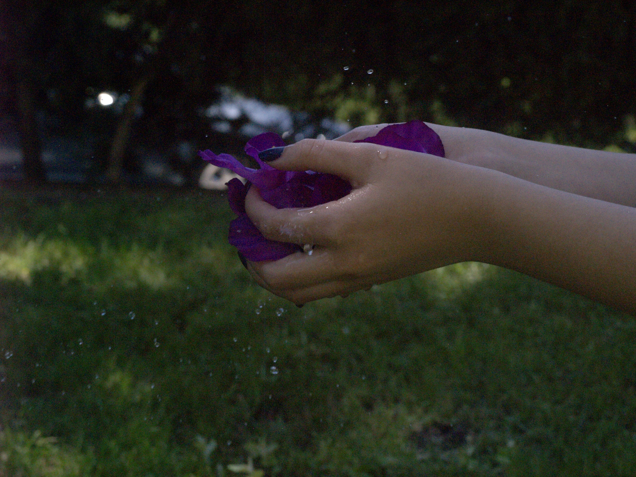 Olympus E-400 (EVOLT E-400) sample photo. Spring in your hands. photography