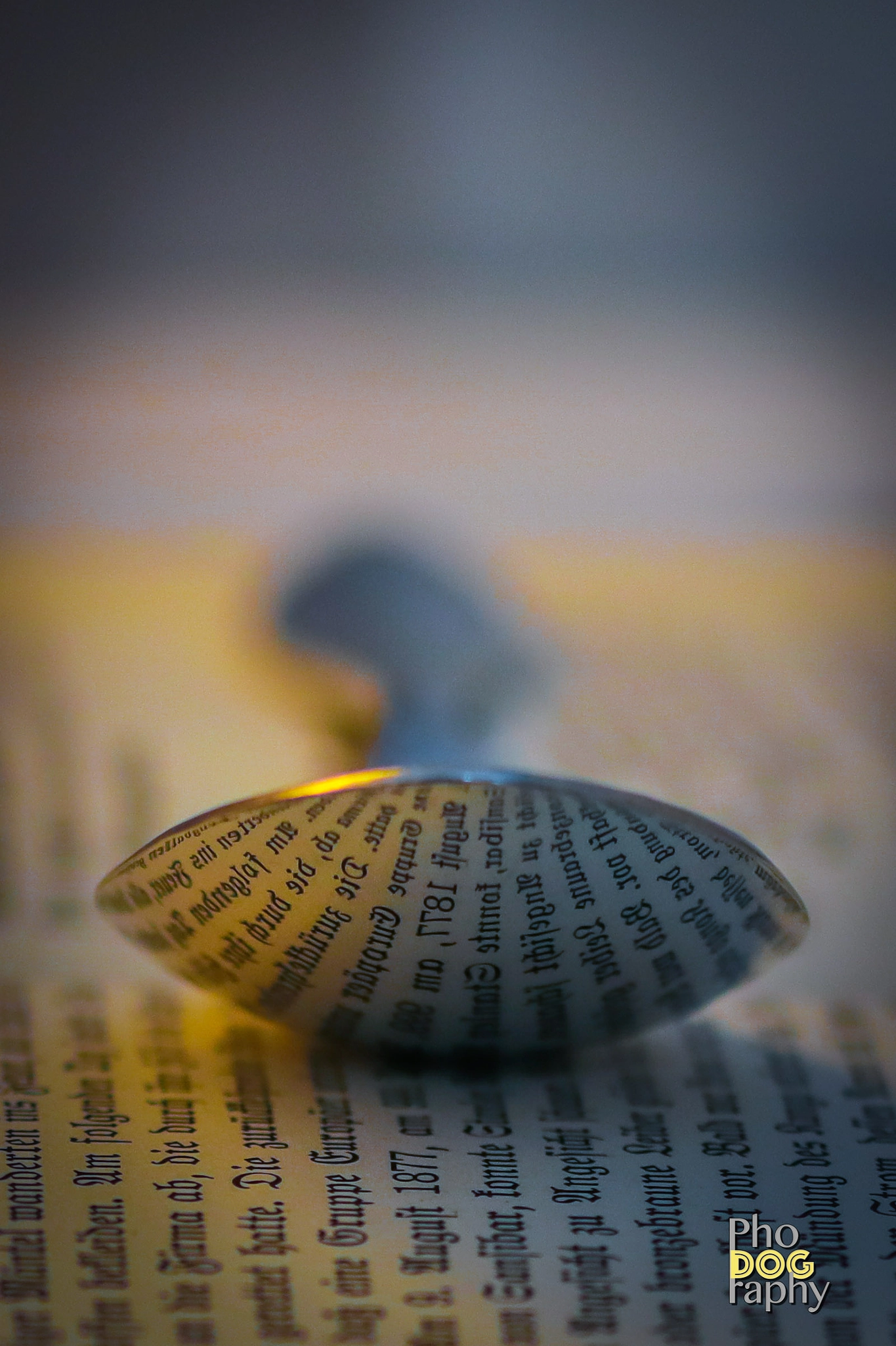 Sigma 105mm F2.8 EX DG OS HSM sample photo. Mirror spoon photography