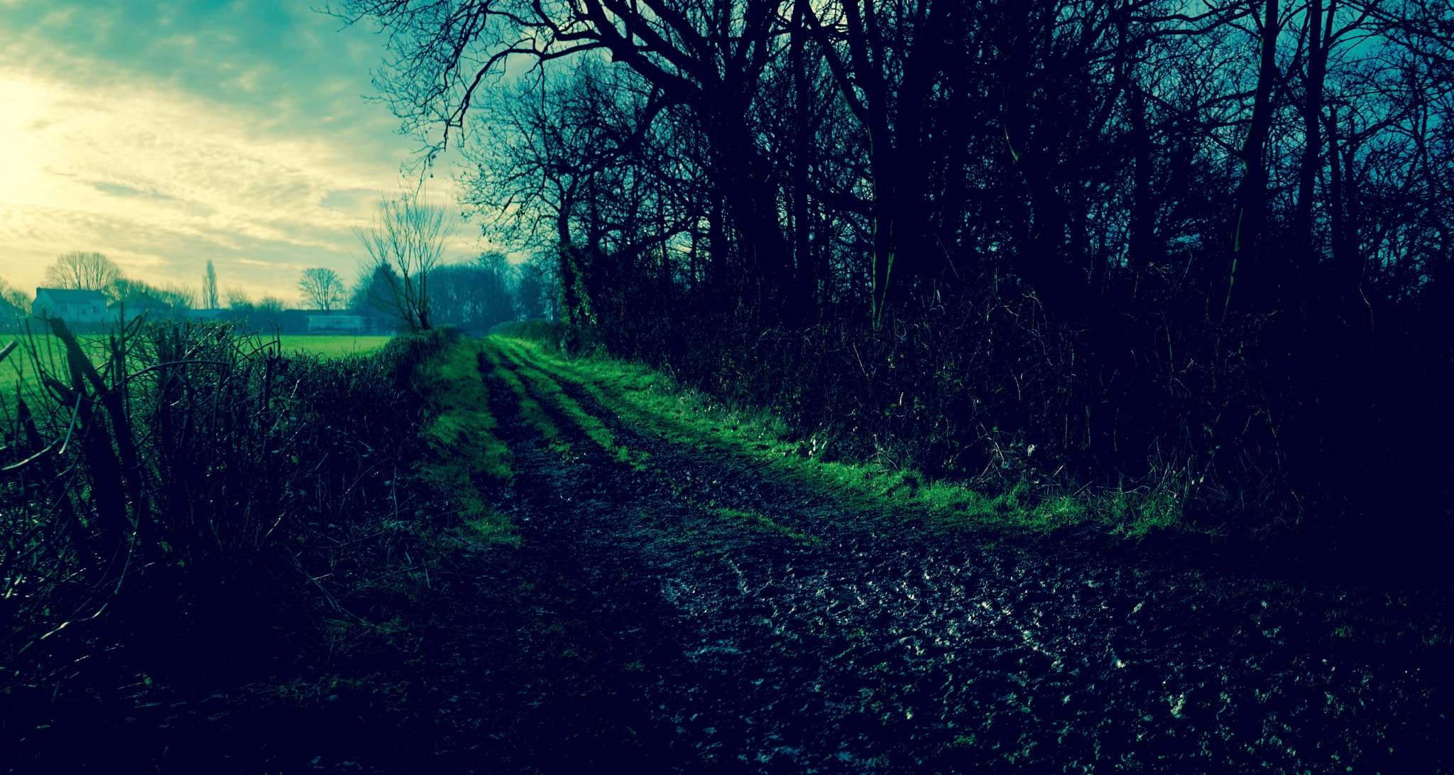 Sony a7 + Sony Sonnar T* FE 35mm F2.8 ZA sample photo. No way out. photography