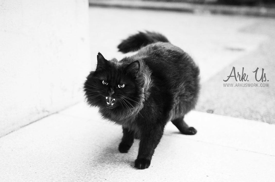 Pentax K-5 II + Sigma 35mm F1.4 DG HSM Art sample photo. Minuit photography