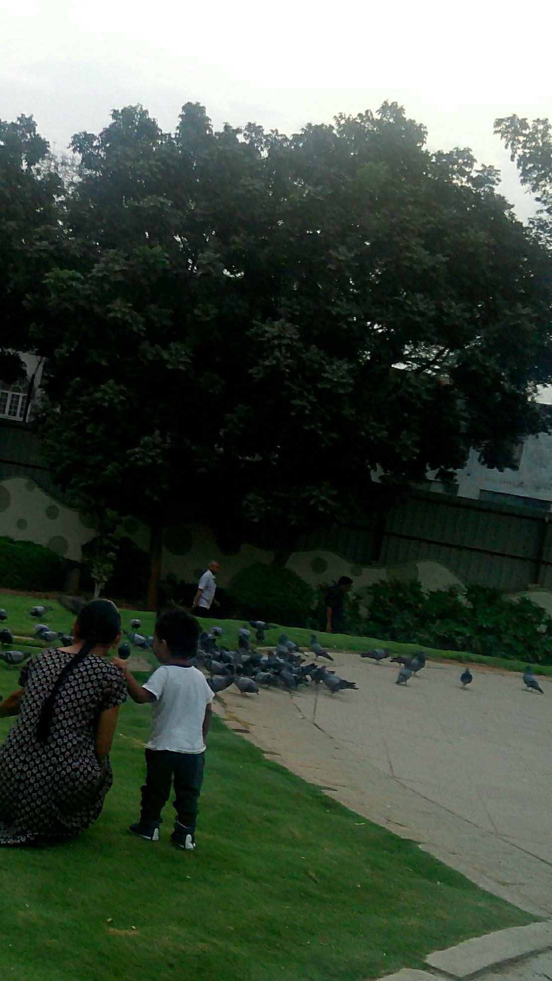 HUAWEI Y541-U02 sample photo