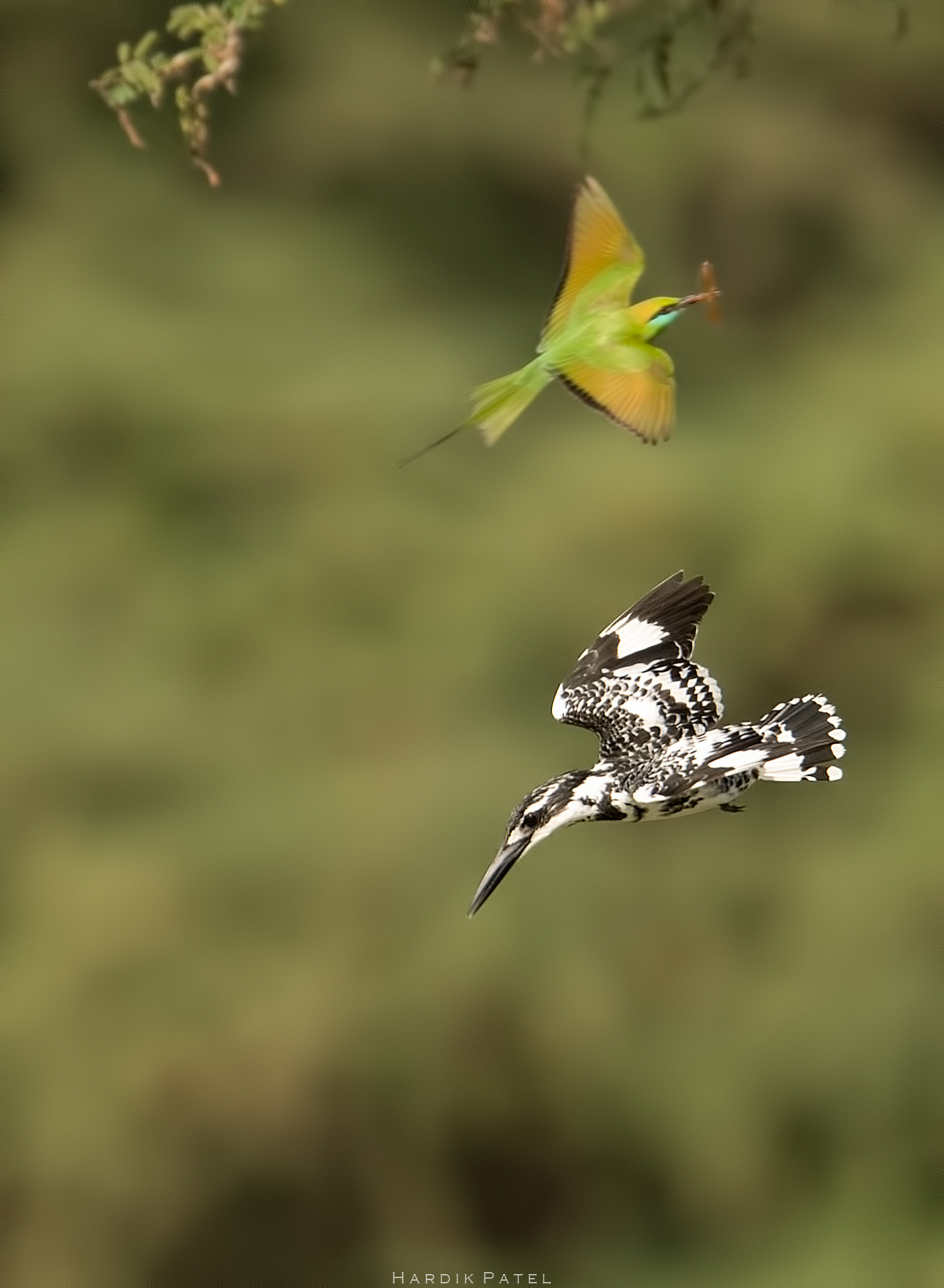 Nikon D5 sample photo. Now its my turn photography