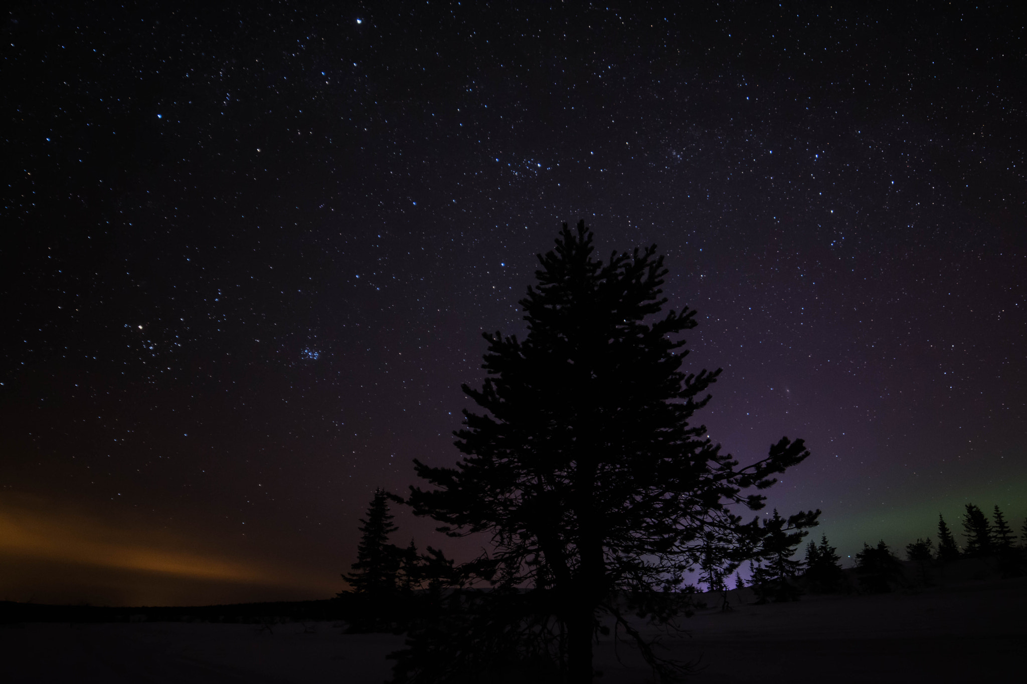Samyang 14mm F2.8 ED AS IF UMC sample photo. Northern nights photography