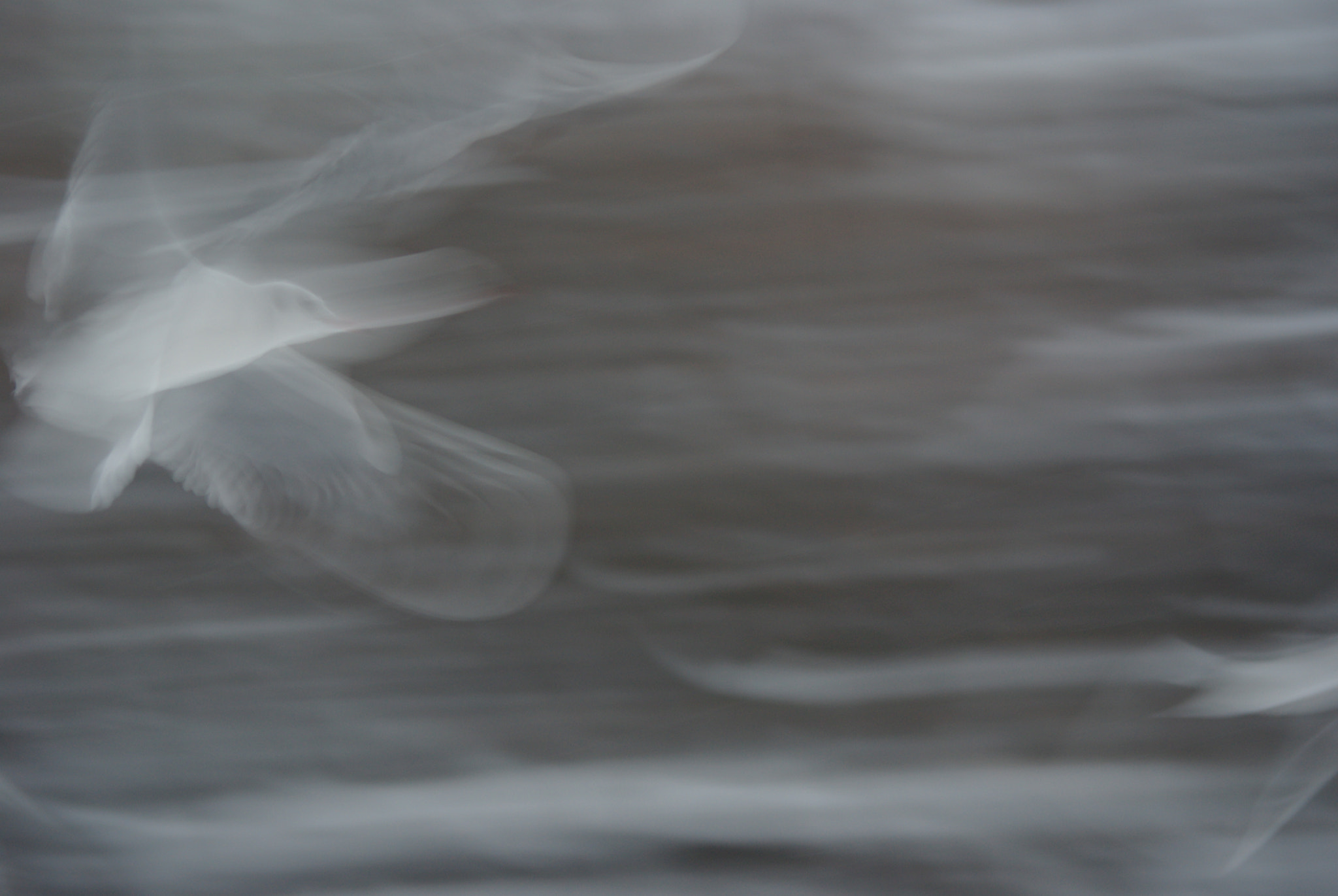 Pentax smc DA 50-200mm F4-5.6 ED sample photo. Motion photography