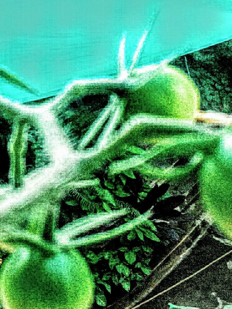 HUAWEI Y541-U02 sample photo
