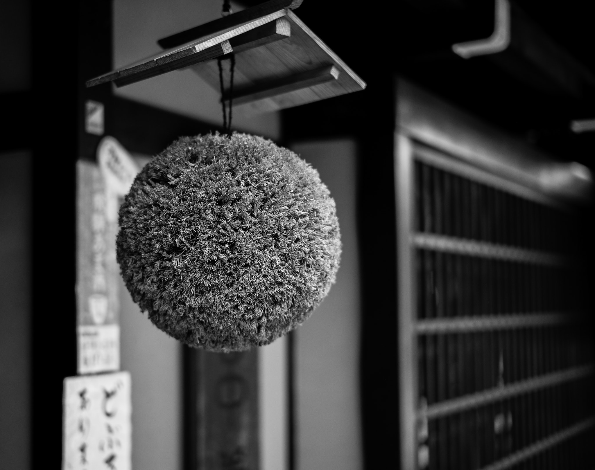 Leica Summilux-M 50mm F1.4 ASPH sample photo. Ornament photography