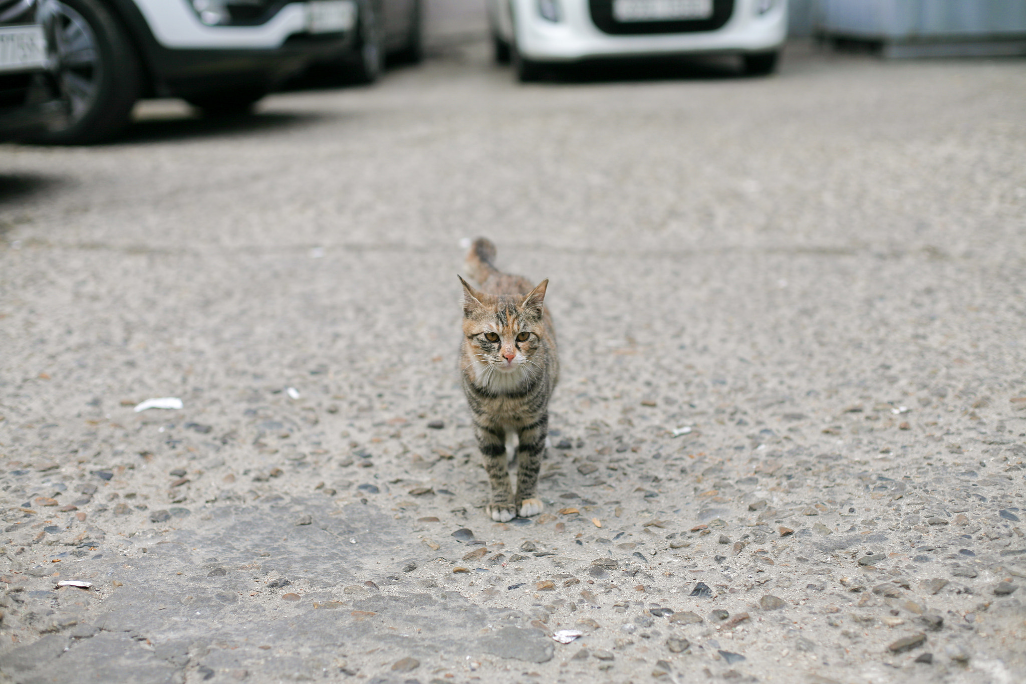 Canon EOS 5D + Canon EF 50mm F1.4 USM sample photo. Img photography