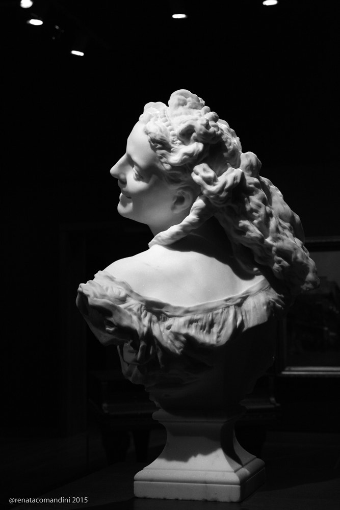 Nikon D5200 sample photo. Nel musée des beaux-arts photography