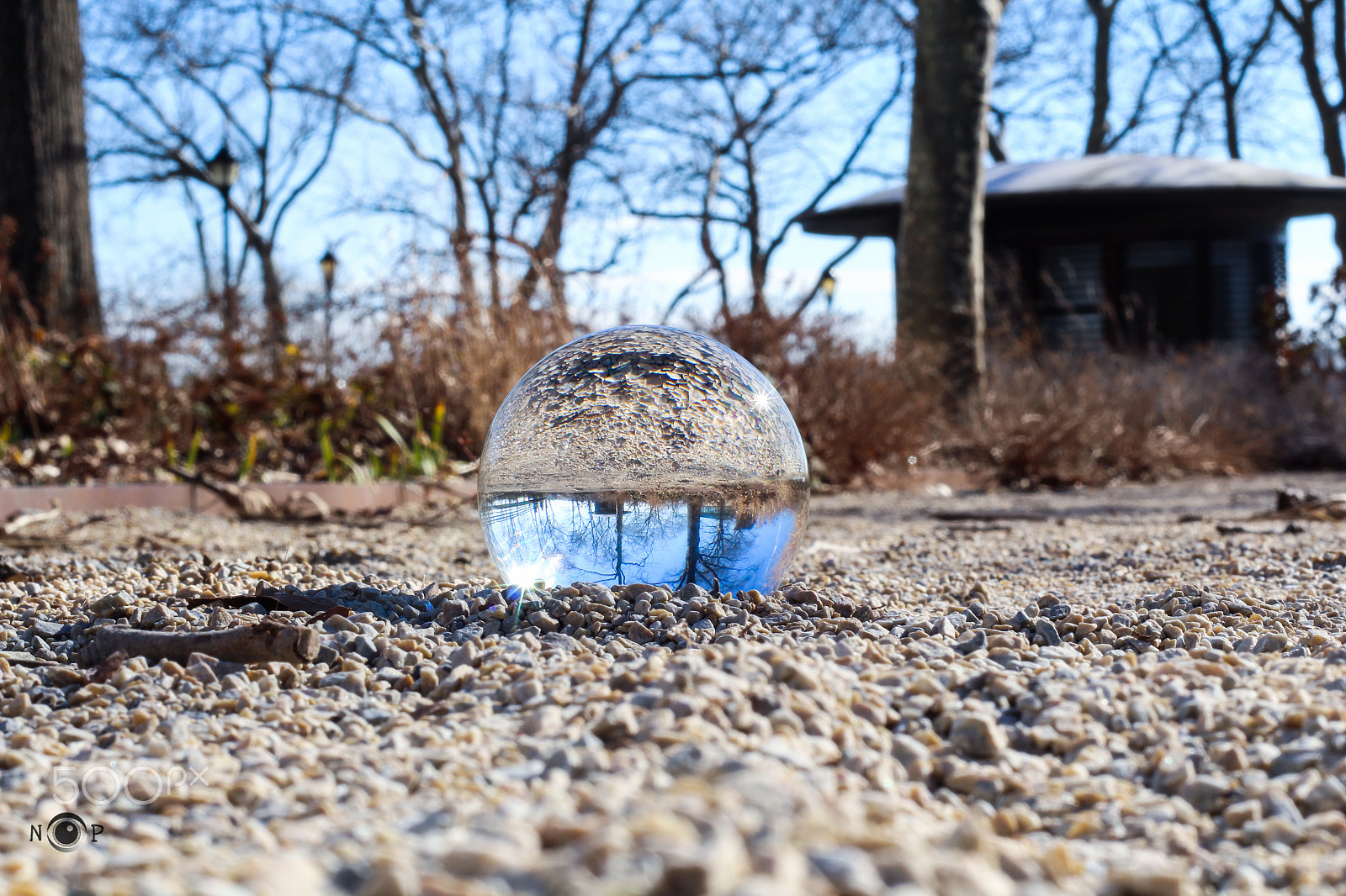 Canon EOS 650D (EOS Rebel T4i / EOS Kiss X6i) sample photo. Inverted!!! photography