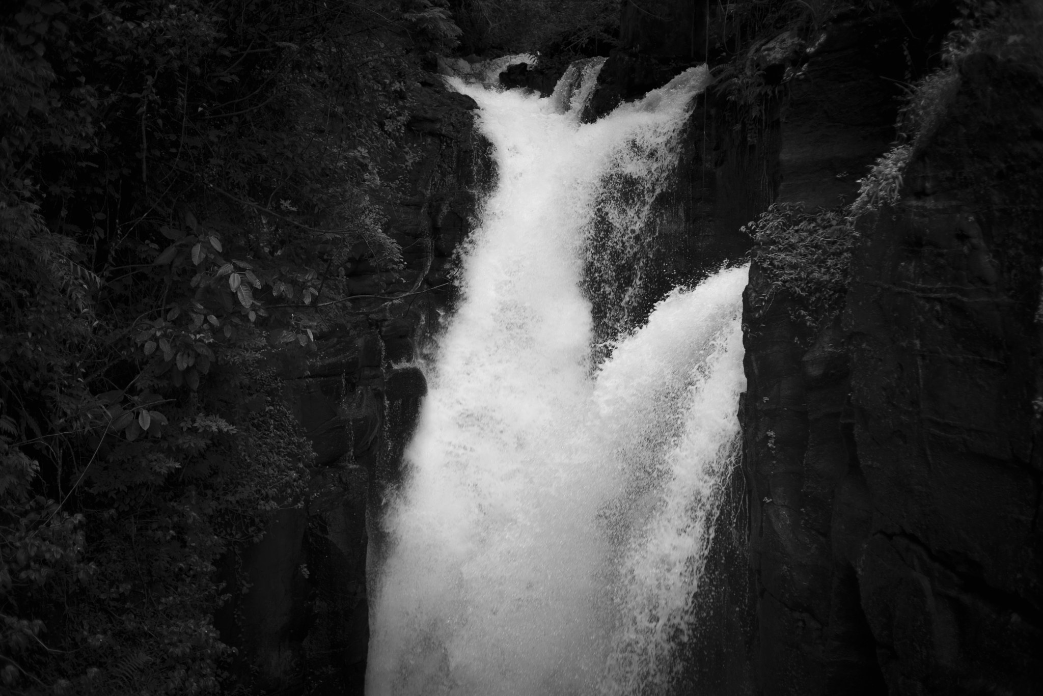 Nikon AF Nikkor 35mm F2D sample photo. The fall photography