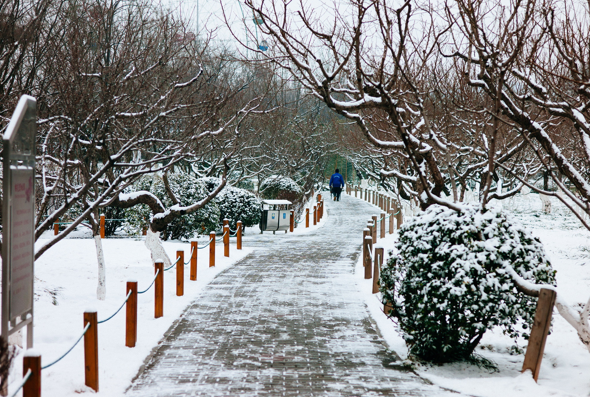 Leica Summarit-M 50mm F2.5 sample photo. L photography