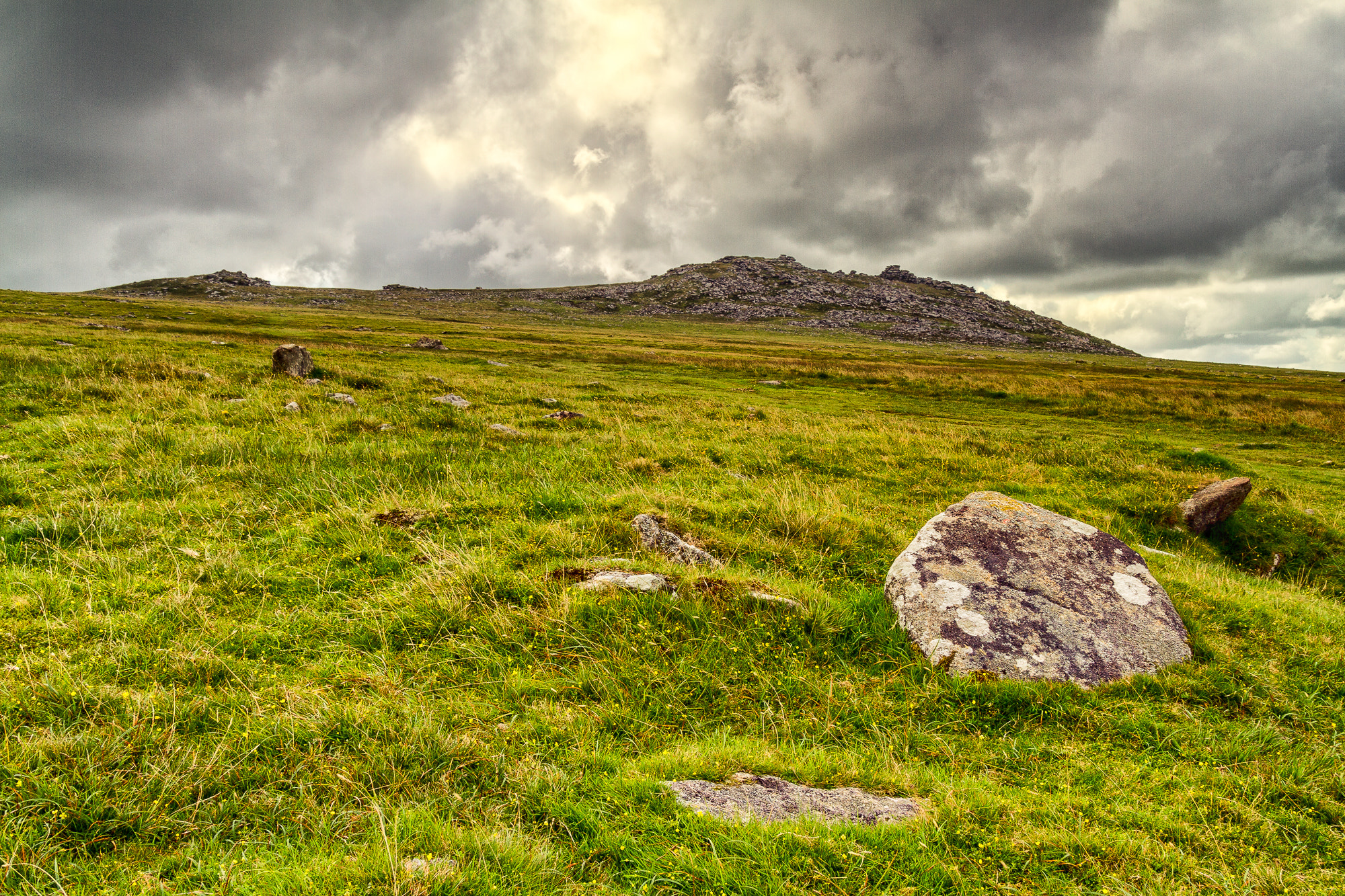 Canon EOS 7D + Sigma 18-50mm f/2.8 Macro sample photo. Broody roughtor photography