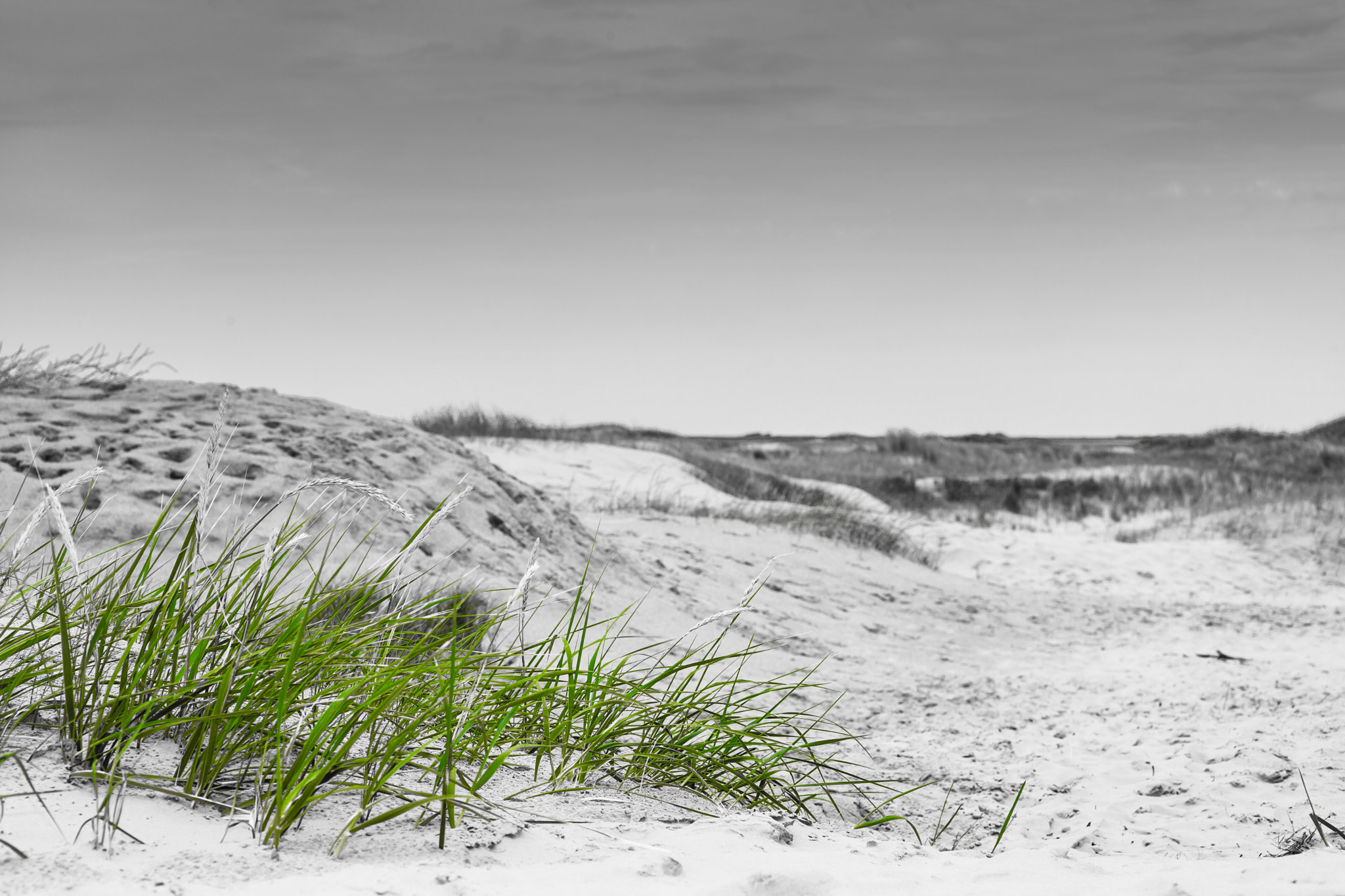 Sigma 85mm F1.4 EX DG HSM sample photo. Dune photography