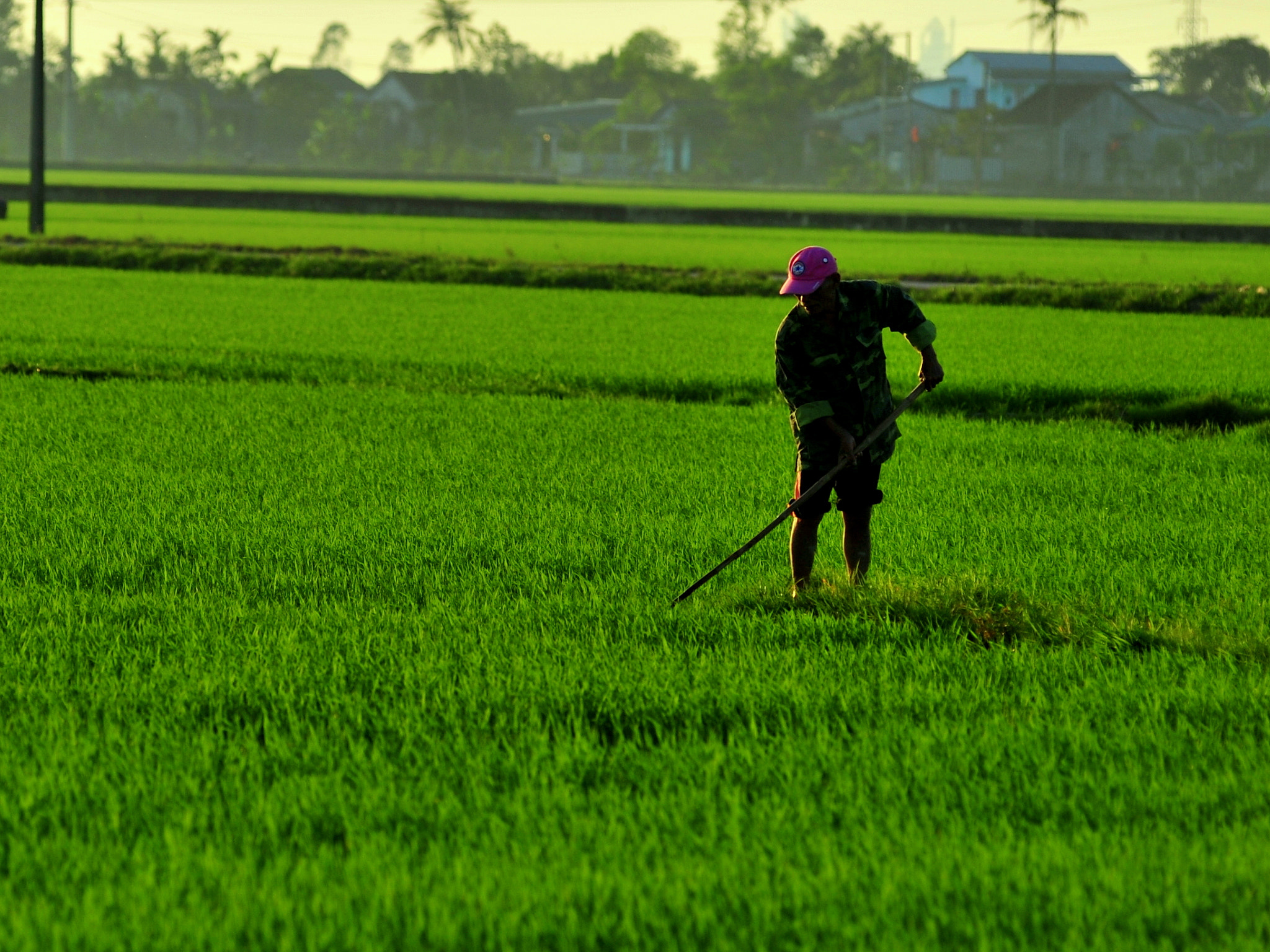 Nikon AF-Nikkor 80-200mm F2.8D ED sample photo. When the sun is going down photography