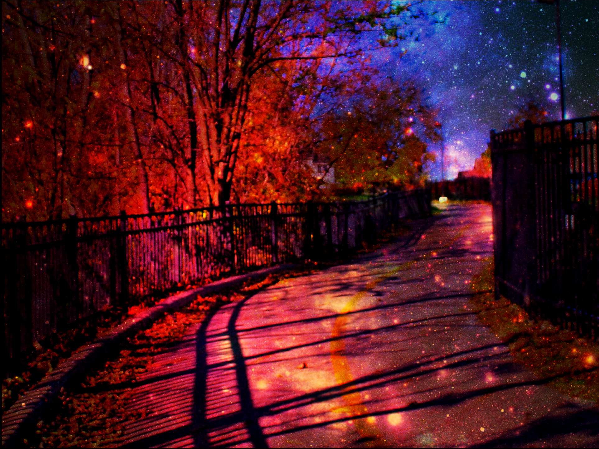 Nikon D80 sample photo. Magical summer night photography