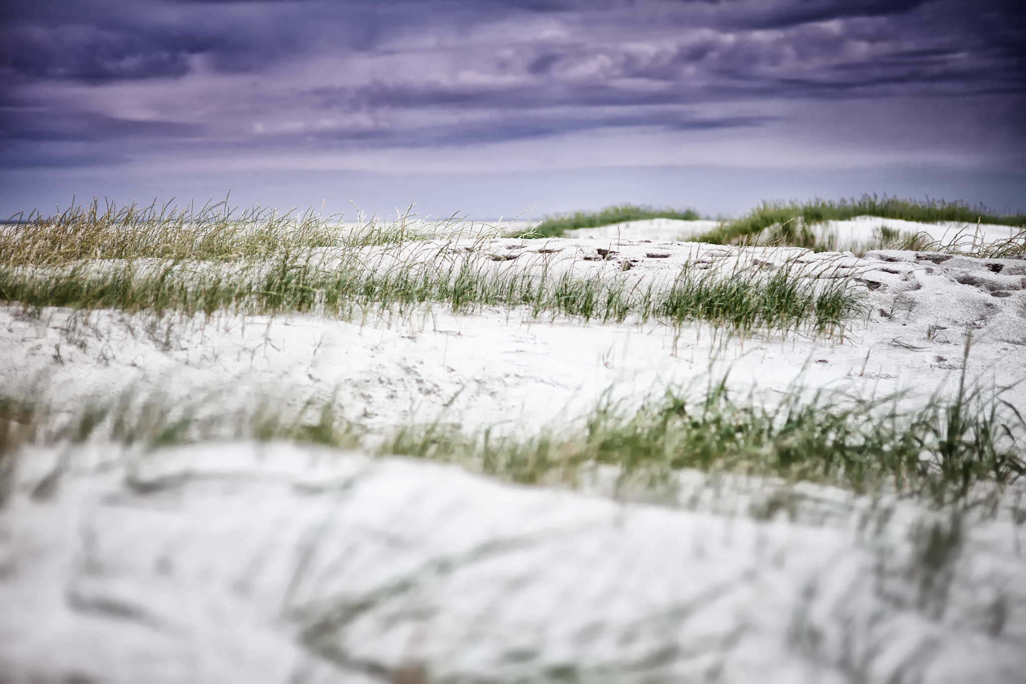 Sigma 85mm F1.4 EX DG HSM sample photo. Footsteps in the sand photography