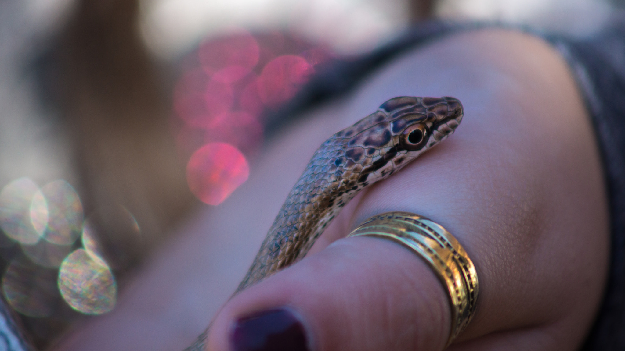 Sony SLT-A77 + Minolta AF 70-210mm F4 Macro sample photo. Dangerous present photography