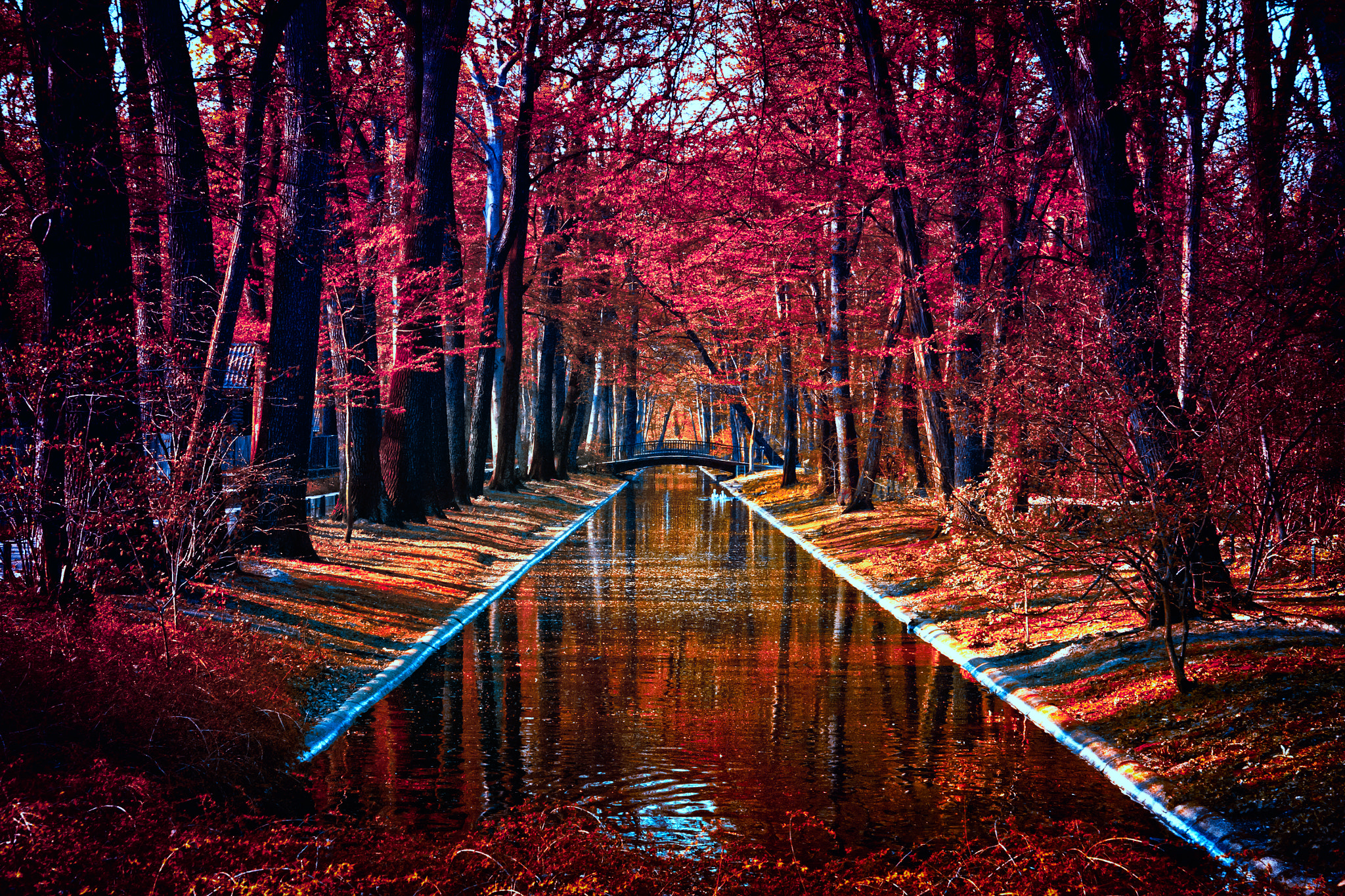 Canon EF-S 17-85mm F4-5.6 IS USM sample photo. Pink autumn photography