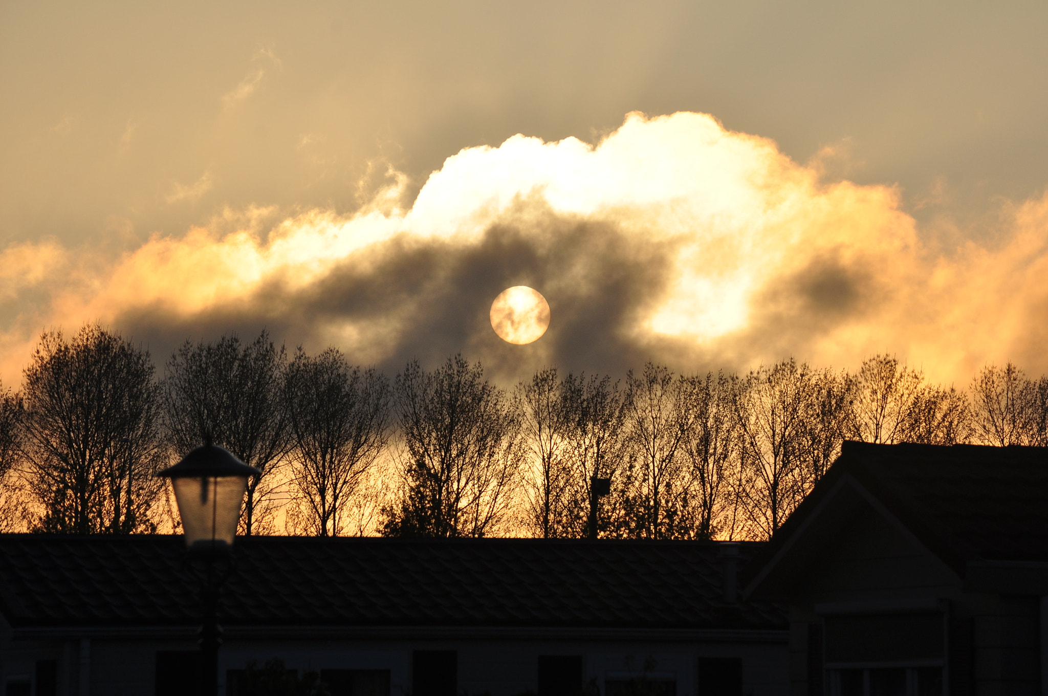 Nikon D5000 sample photo. Sunset in netherlands photography