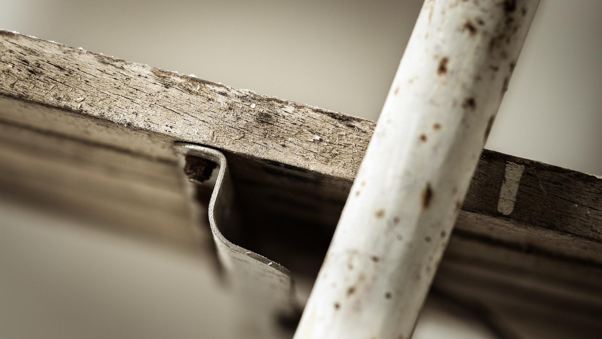 Sony a6000 + Sony FE 90mm F2.8 Macro G OSS sample photo. Solid tool. photography