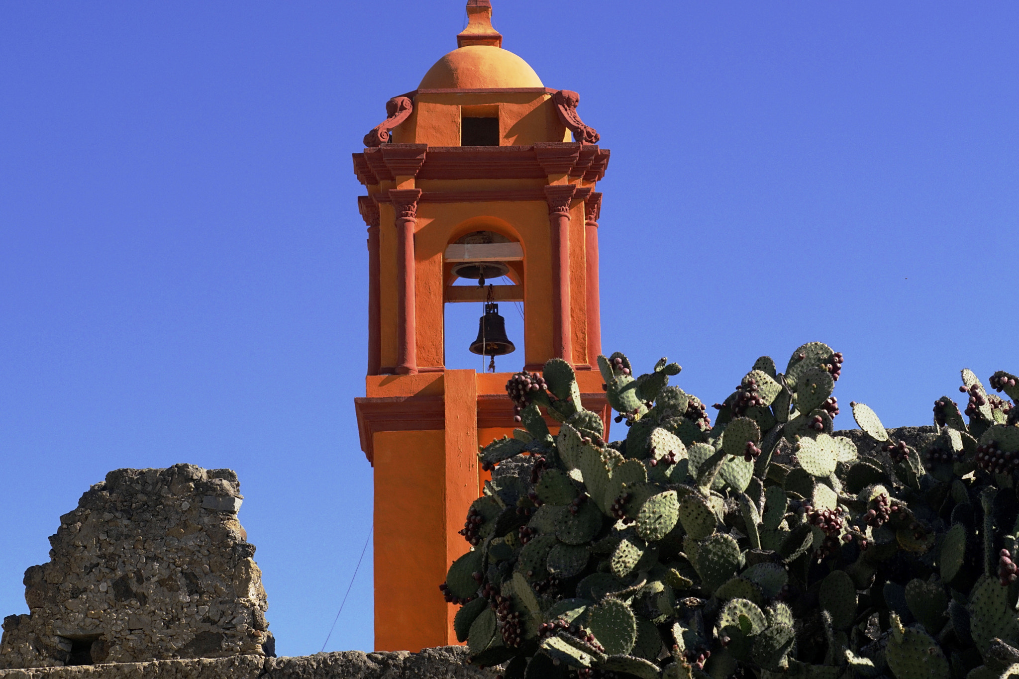 Sony ILCA-77M2 sample photo. A  cactus   wall photography