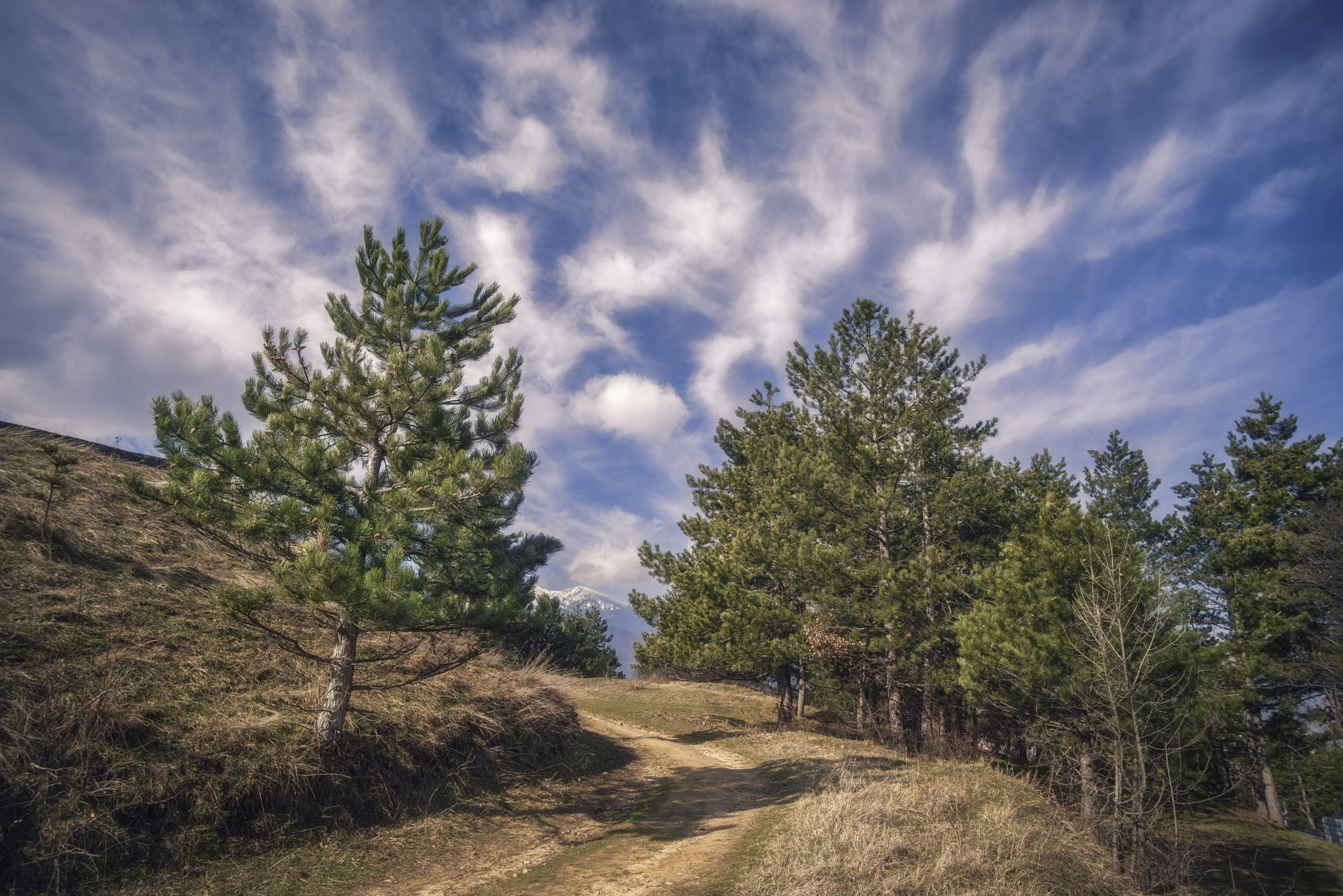 smc PENTAX-F 35-70mm F3.5-4.5 sample photo. Curve photography