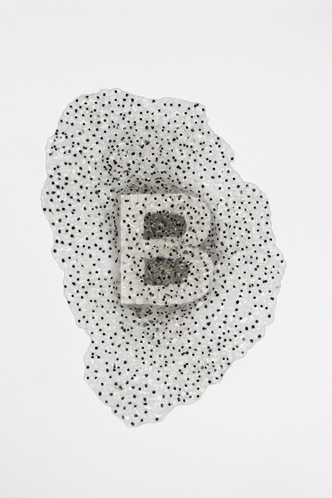 Canon EF-S 17-55mm F2.8 IS USM sample photo. Typography frogspawn photography