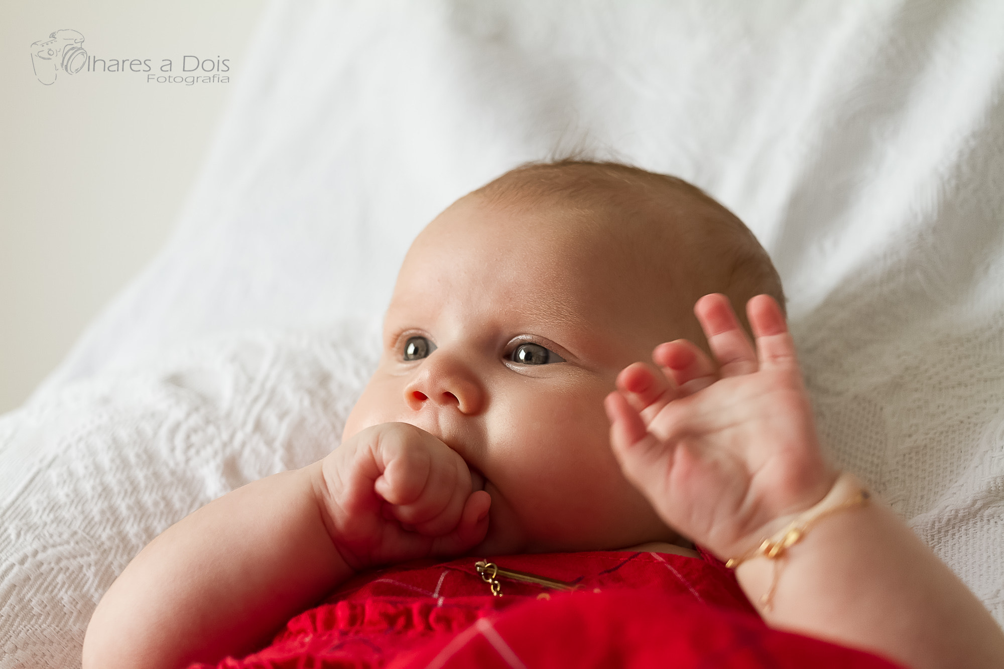 Canon EOS 7D sample photo. Cecil - 2 meses photography