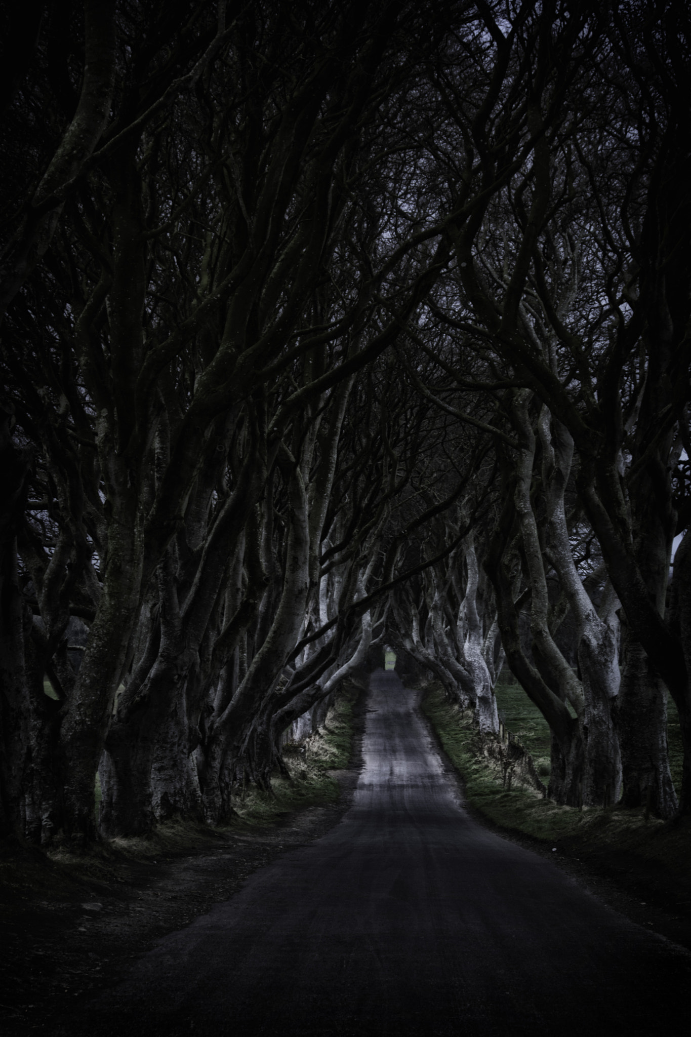 Sony SLT-A77 + Tamron AF 28-105mm F4-5.6 [IF] sample photo. The kings road photography